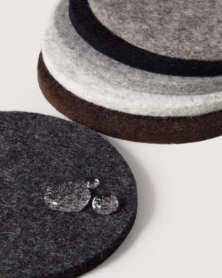 Bierfilzl Merino Wool Round Coaster Multi 6 Pack-Earth