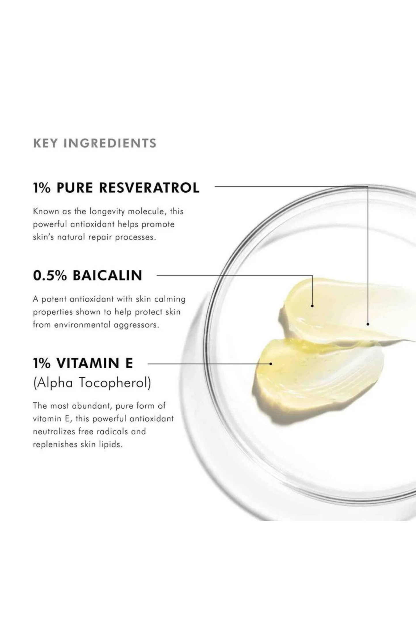 Resveratrol B E