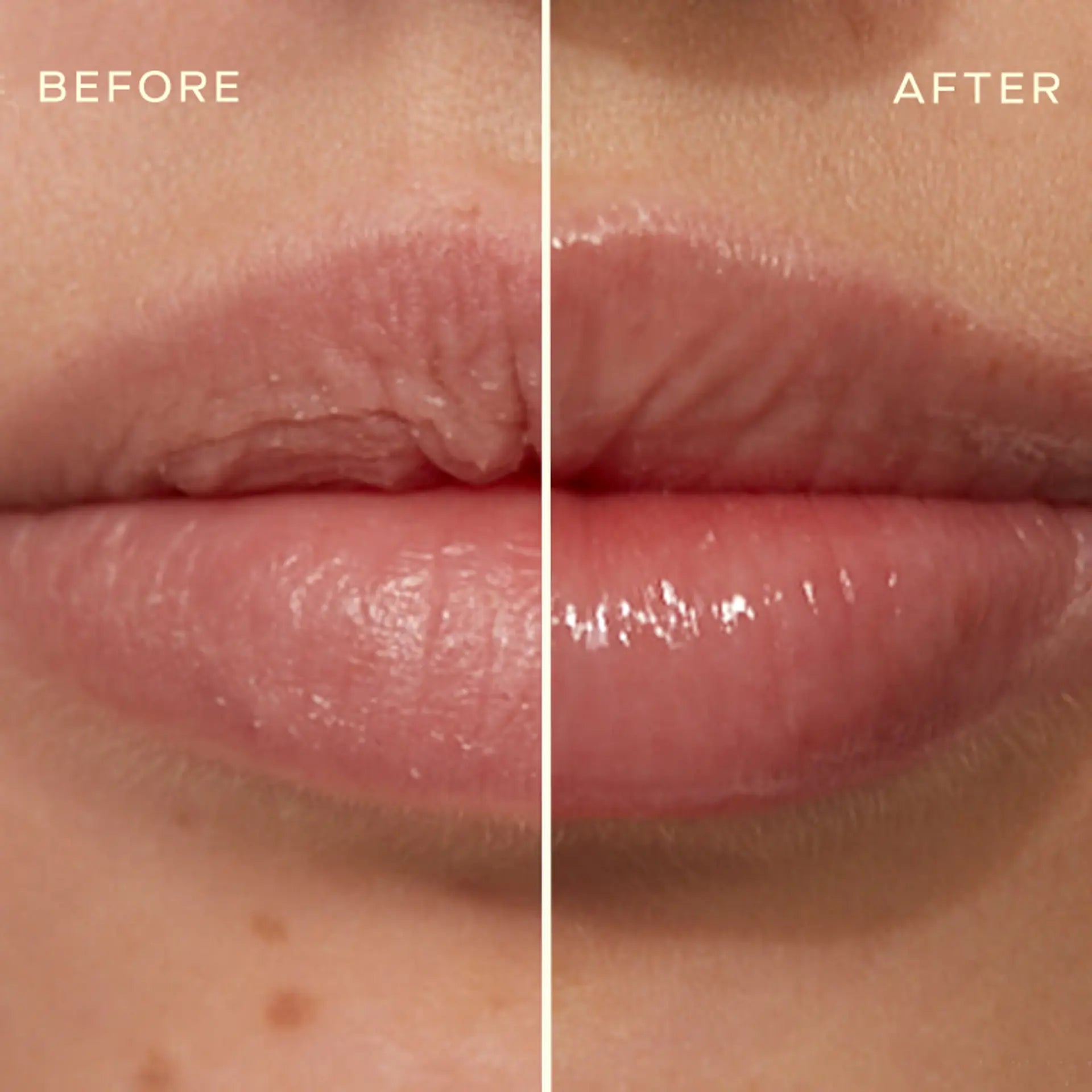 Lip Conditioner - Clear
