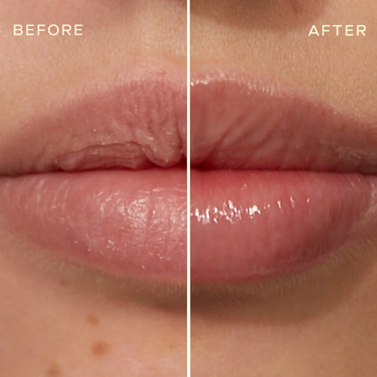 Lip Conditioner - Clear