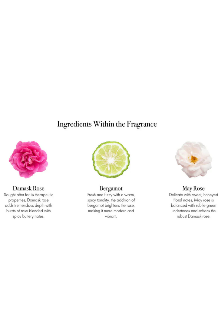 Classic Diffuser - Blush Rose