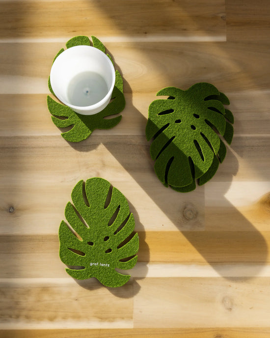Merino Wool Monstera Coaster Solid 4 Pack-Loden Green